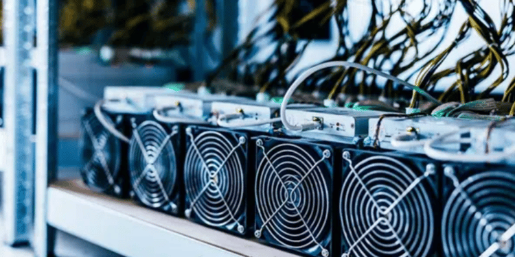 El primer centro autorizado para reparar equipos de minería de Whatsminer en Latinoamérica llega a través de una compañía venezolana. Fuente: Adobe Stock