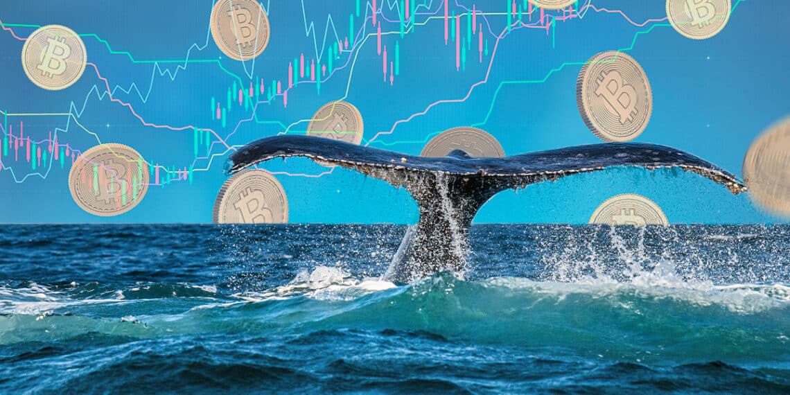 ballena nadando en el mar con monedas de bitcoin cayendo y gráfico de precio en el fondo