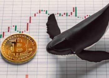 Ballena con gráfico de velas y Bitcoin