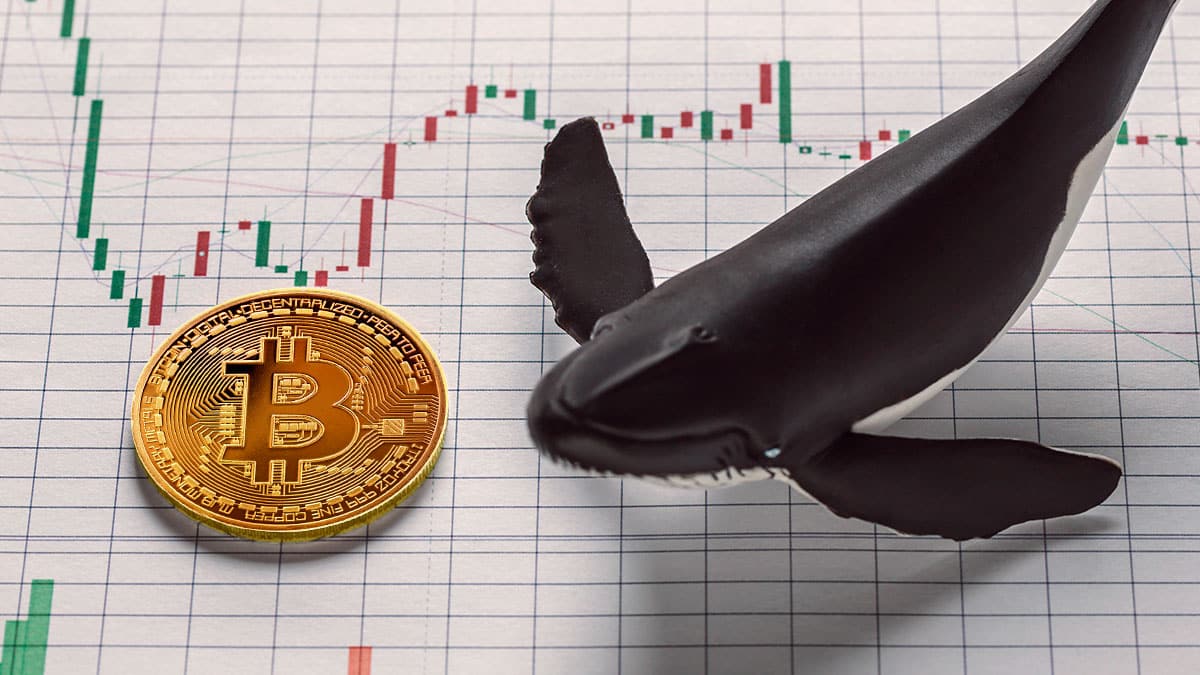 Ballena mueve 10.000 bitcoins que mantuvo 9 años y genera incertidumbre en el mercado
