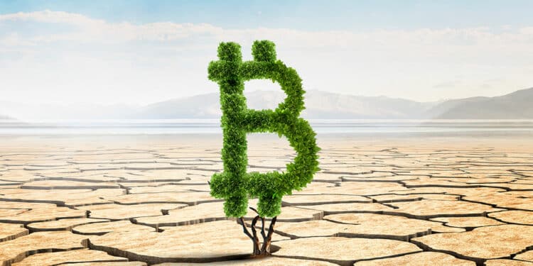 Bitcoin en el medio del desierto.