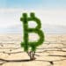 Bitcoin en el medio del desierto.