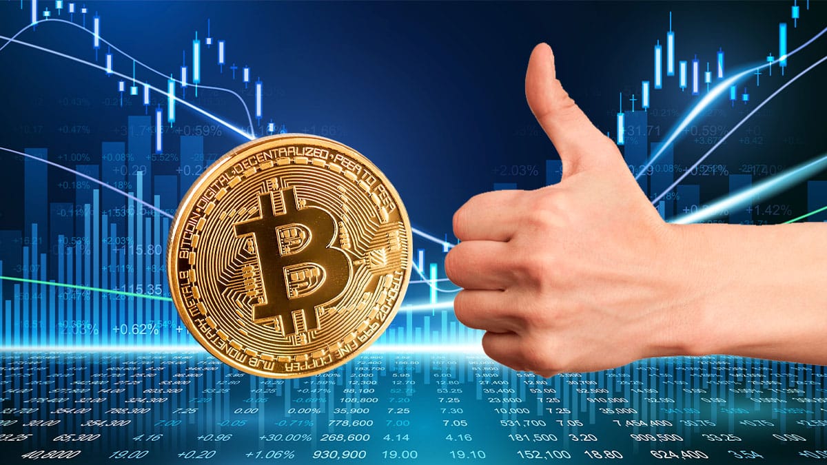 Mercado bajista de criptomonedas no afecta a todos: mira estos 4 casos de crecimiento