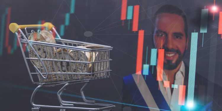 El Salvador compró 80 bitcoin a USD 19000 y Bukele agradece la oferta