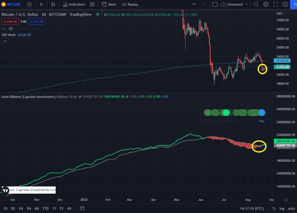 Bitcoin price rebounding