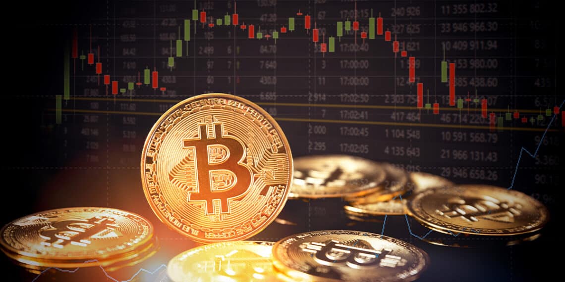 Datos de la red Bitcoin dan fe de una nueva calma en este mercado bajista. Fuente: Proxima Studio/ stock.adobe.com