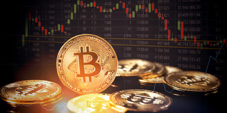 El precio de bitcoin resurgió en los últimos 7 días y llegó a superar los USD 22.000