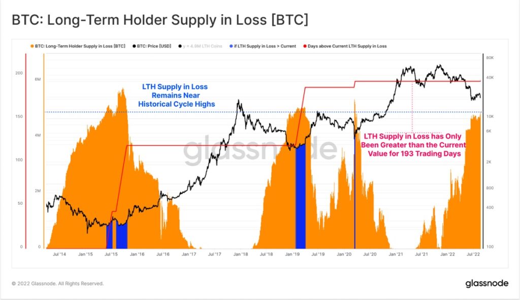 gráfico muestra el nivel de las perdidas de los holders a largo plazo