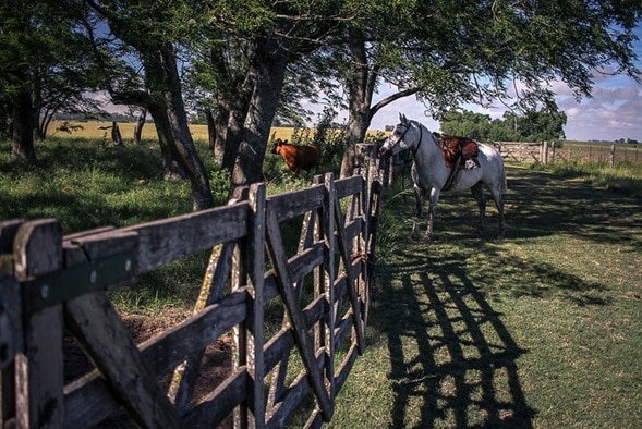 estilo de vida rural para bitcoiners en Argentina