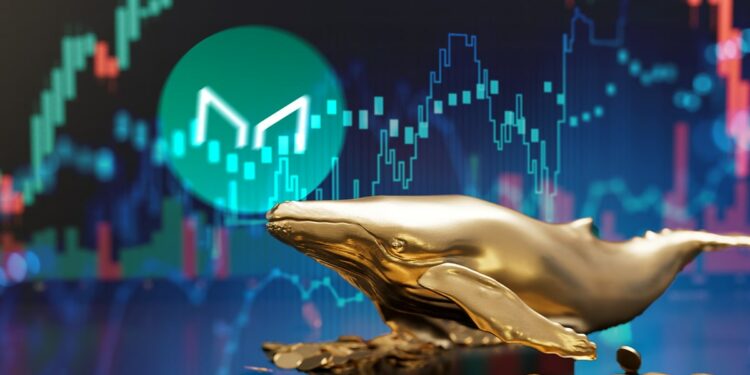 ballena de oro sobre monedas con gráficos de precio en el fondo y logo de maker superpuesto