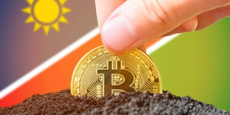 mano sosteniendo moneda de bitcoin con bandera de Namibia en el fondo