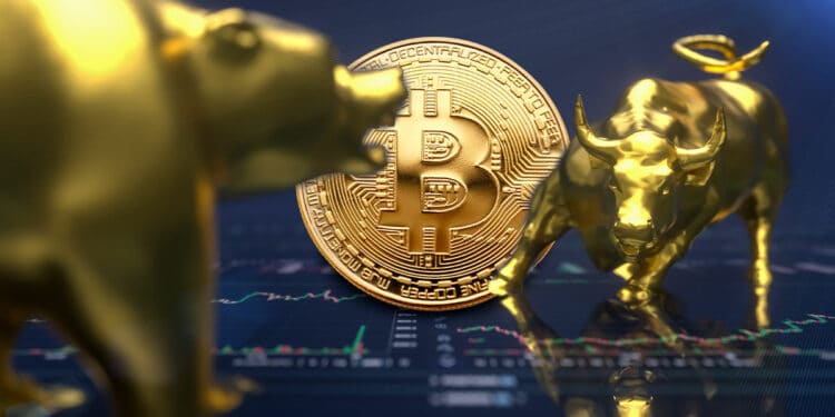 bitcoin entre oso y toro