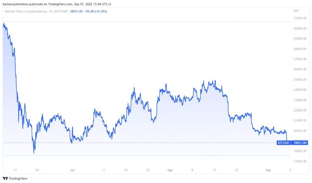 grafico de precio de bitcoin muestra caída