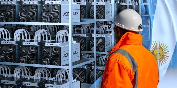 operador de puerto con bandera de argentina y mineros asic en container en el fondo
