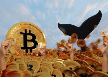 manos sosteniendo monedas en mar de bitcoins co ballena alejandose en el fondo