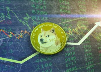 moneda de dogecoin con gráfico de mercado creciente en verde en el fondo