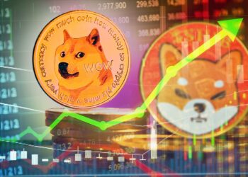 monedas de dogecoin e shiba inu con graficos de mercado