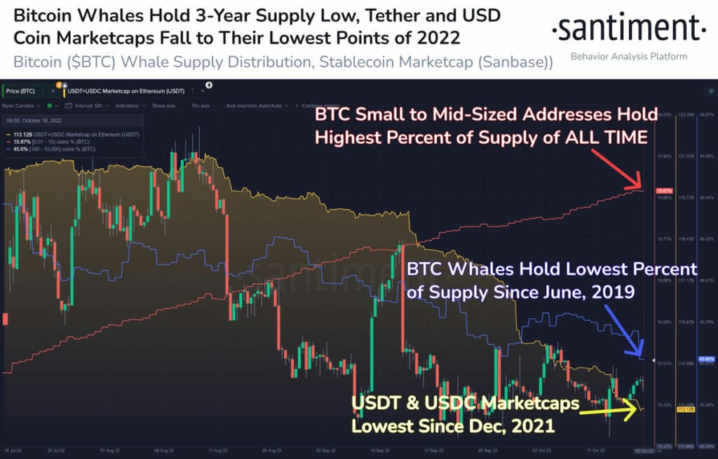 grpafico compara suministro de bitcoin mantenido por ballenas contra pequeños ahorristas en relación con el precio de bitcoin y capitalización de mercado de USDT y USDC