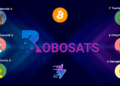 Logo del exchange RoboSats junto a robots.