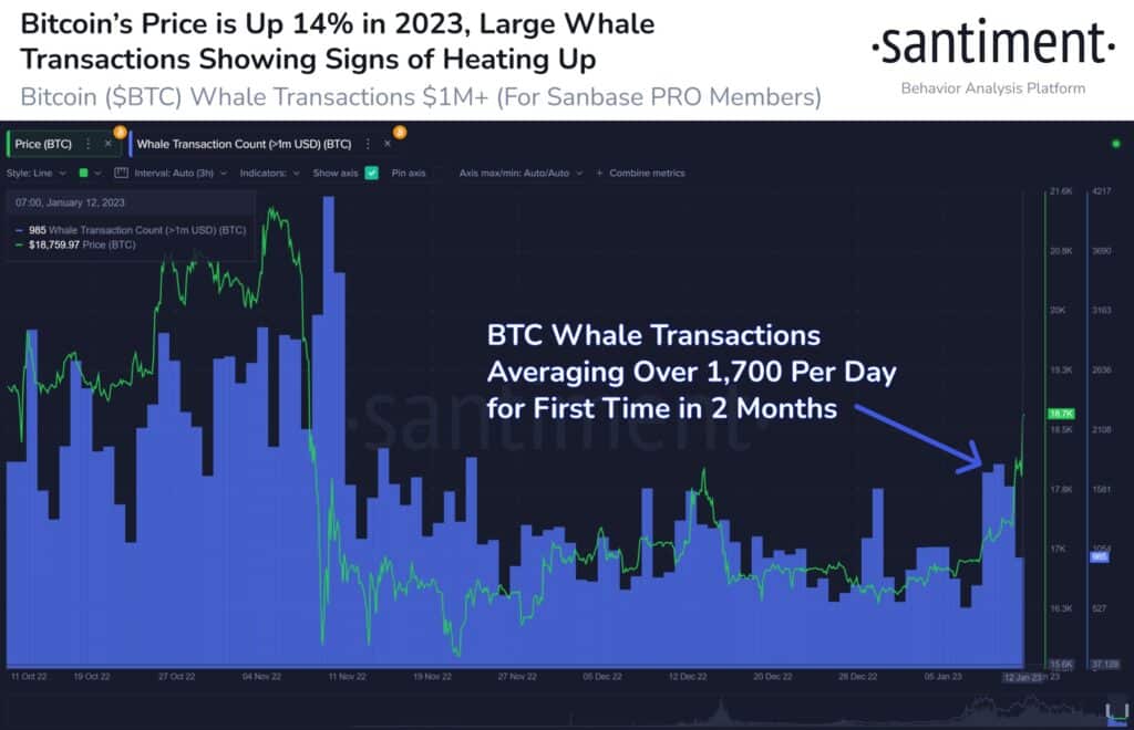 Transacciones de las ballenas de bitcoin.