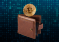 Wallet con bitcoin.