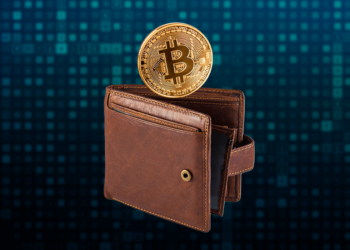 Wallet con bitcoin.