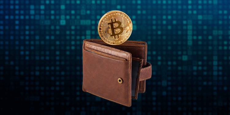 Wallet con bitcoin.