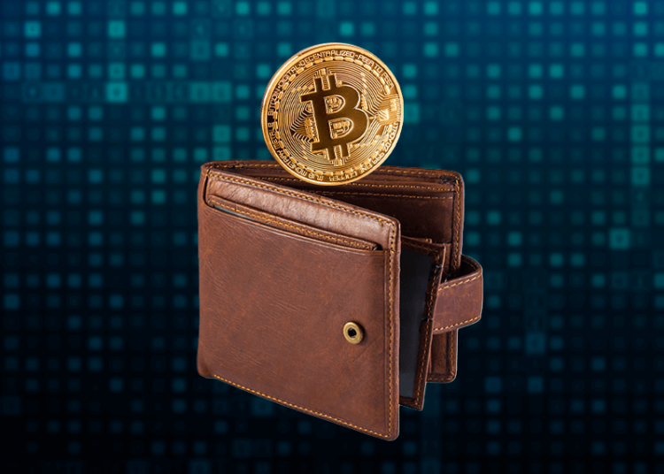 Wallet con bitcoin.