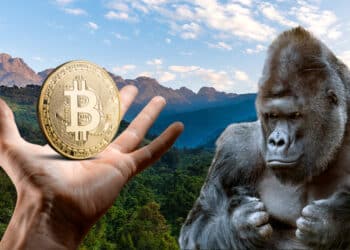 Gorila en selva con BTC