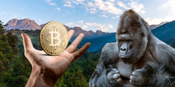 Con bitcoin quieren salvar al parque silvestre más antiguo de África