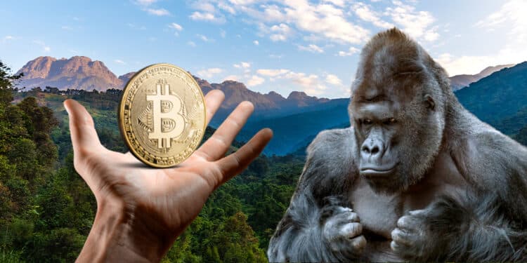 Gorila en selva con BTC