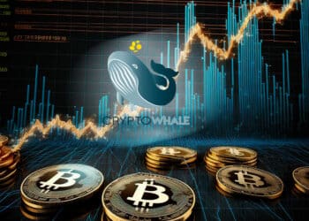 Tabla de gráficos con bitcoin y logo de CryptoWhale