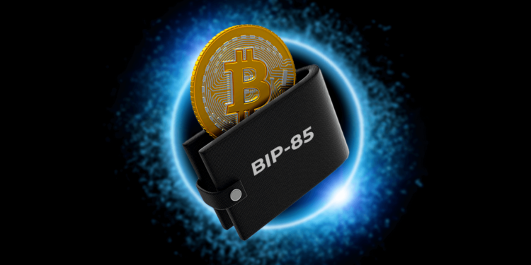 Bitcoin en wallet.