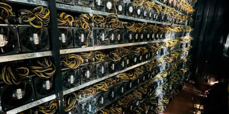 Mineros de bitcoin.