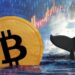 moneda de bitcoin junto a cola de ballena en mar con gaficos de precio de mercado en el fondo