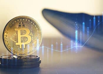 moneda de bitcoin con grafico de precio en azul superpuesto con ballena en el fondo