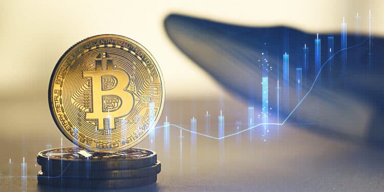 moneda de bitcoin con grafico de precio en azul superpuesto con ballena en el fondo