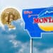 Bitcoin y cartel Montana.