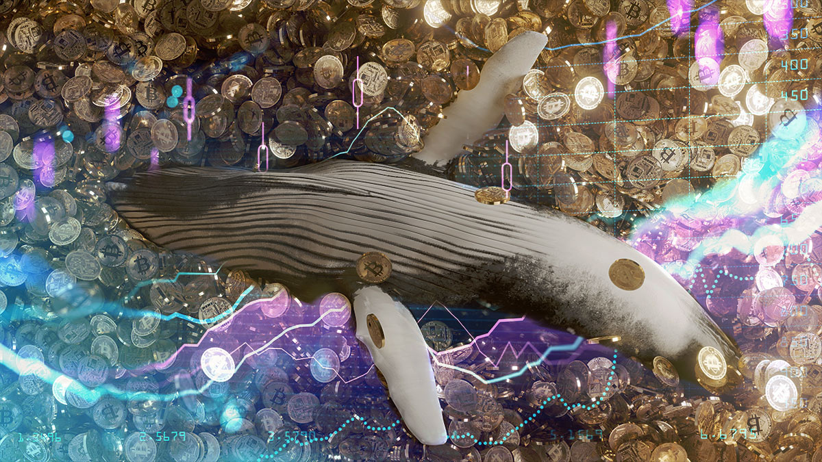 Les baleines accumulent pour 1 milliard de dollars de bitcoins par jour