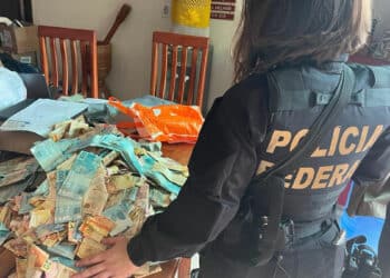 miembro de la policía Federal junto a mesa con dinero