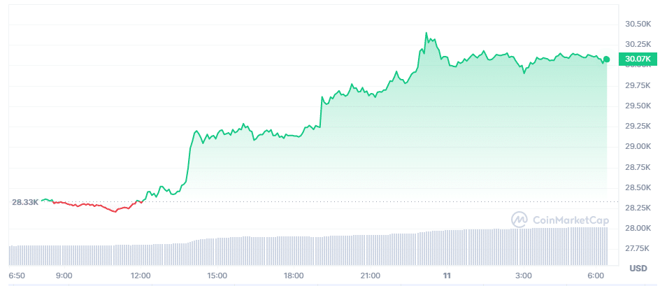 Bitcoin se mantiene por encima de los USD 30.000 - Fuente: CoinMarketCap