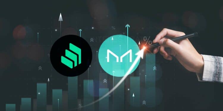 Tokens Market y Compound DeFi.
