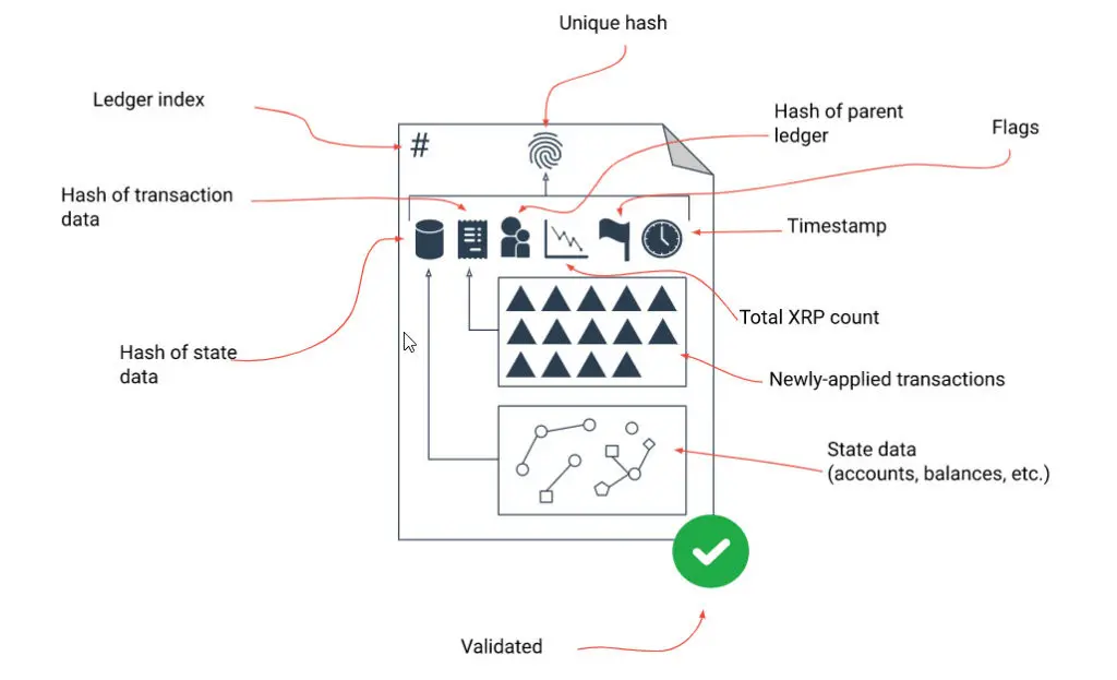 El libro contable de XRP