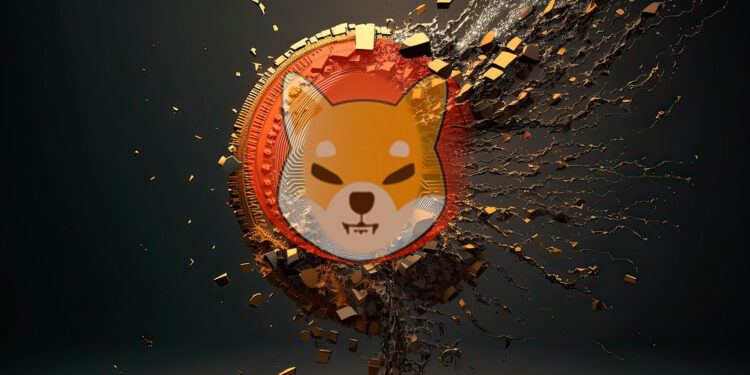 Shiba inu desplomado