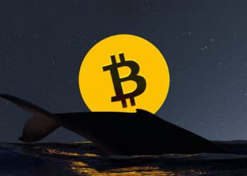 ballena nadando en mar moviendo moneda de bitcoin