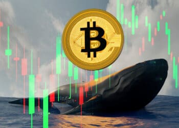 Ballena y bitcoin