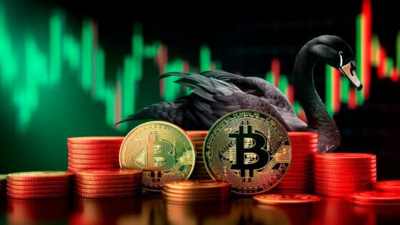 Si no hay un cisne negro, bitcoin «está en las primeras etapas de un mercado alcista»