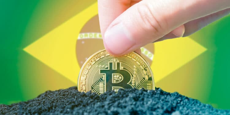 Brasil y bitcoin.