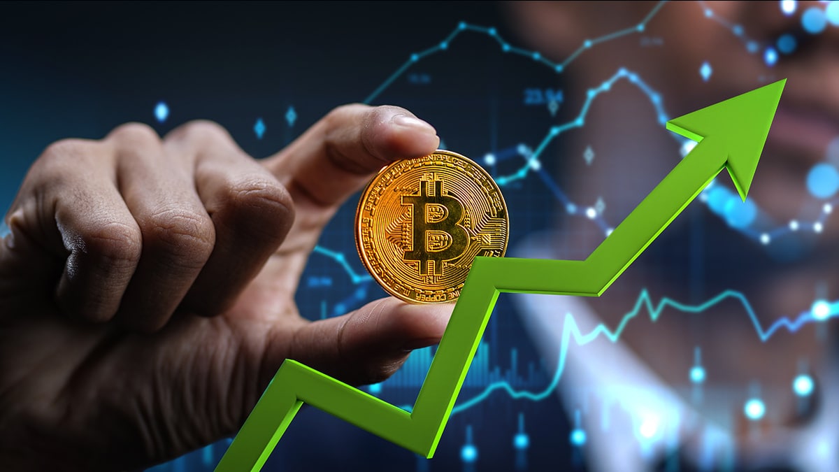 “Les étoiles sont alignées pour voir le Bitcoin à 100 000 $ ou plus”