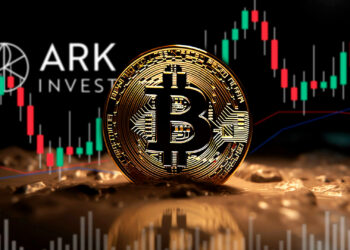 Ark Invest, bitcoin y soporte.